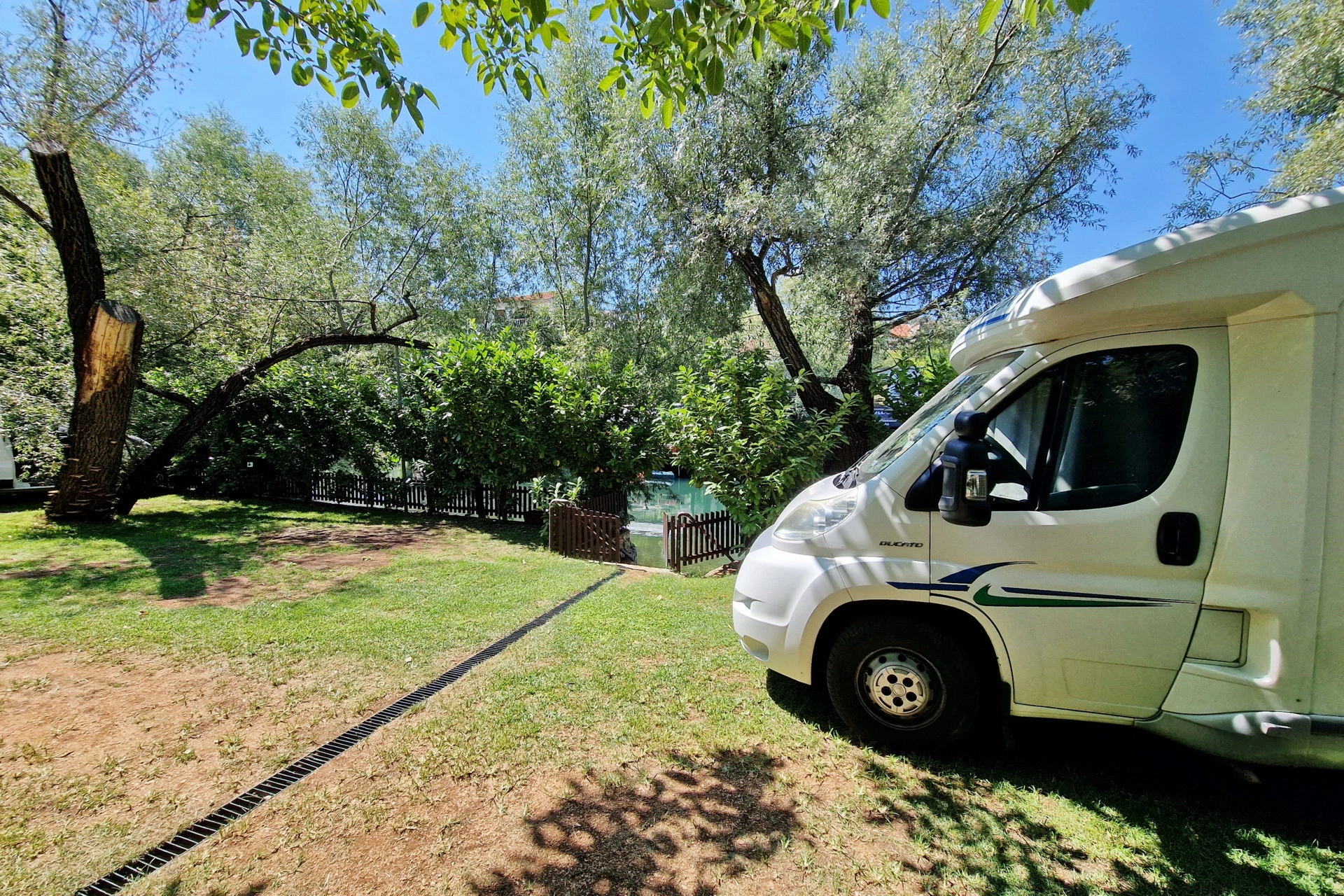 Camper under willow trees