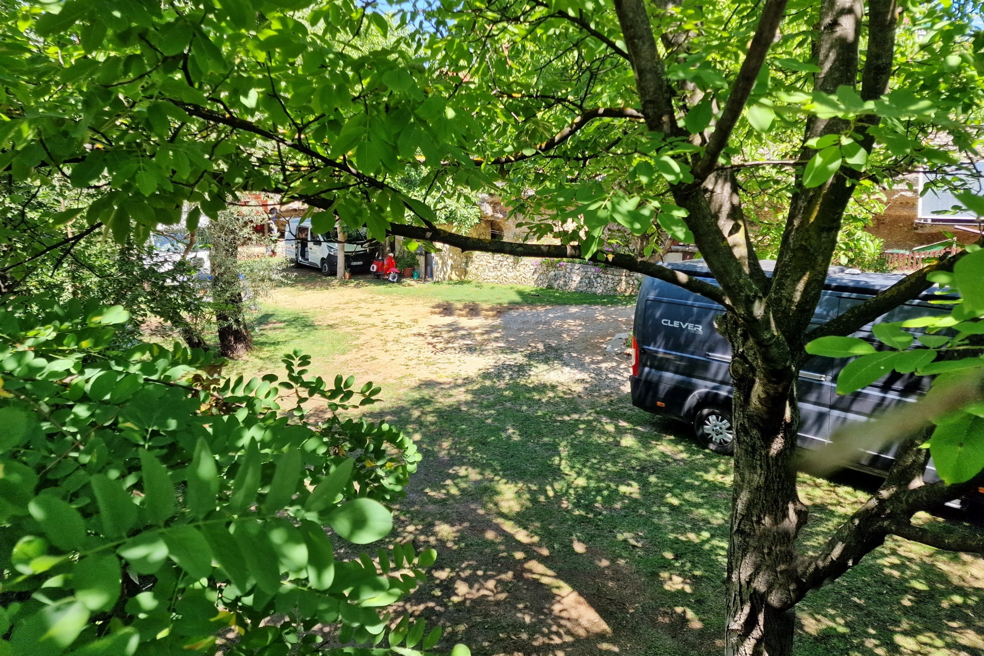 Sunlight filtering through willow branches along the Buna River at Camp Aganovac