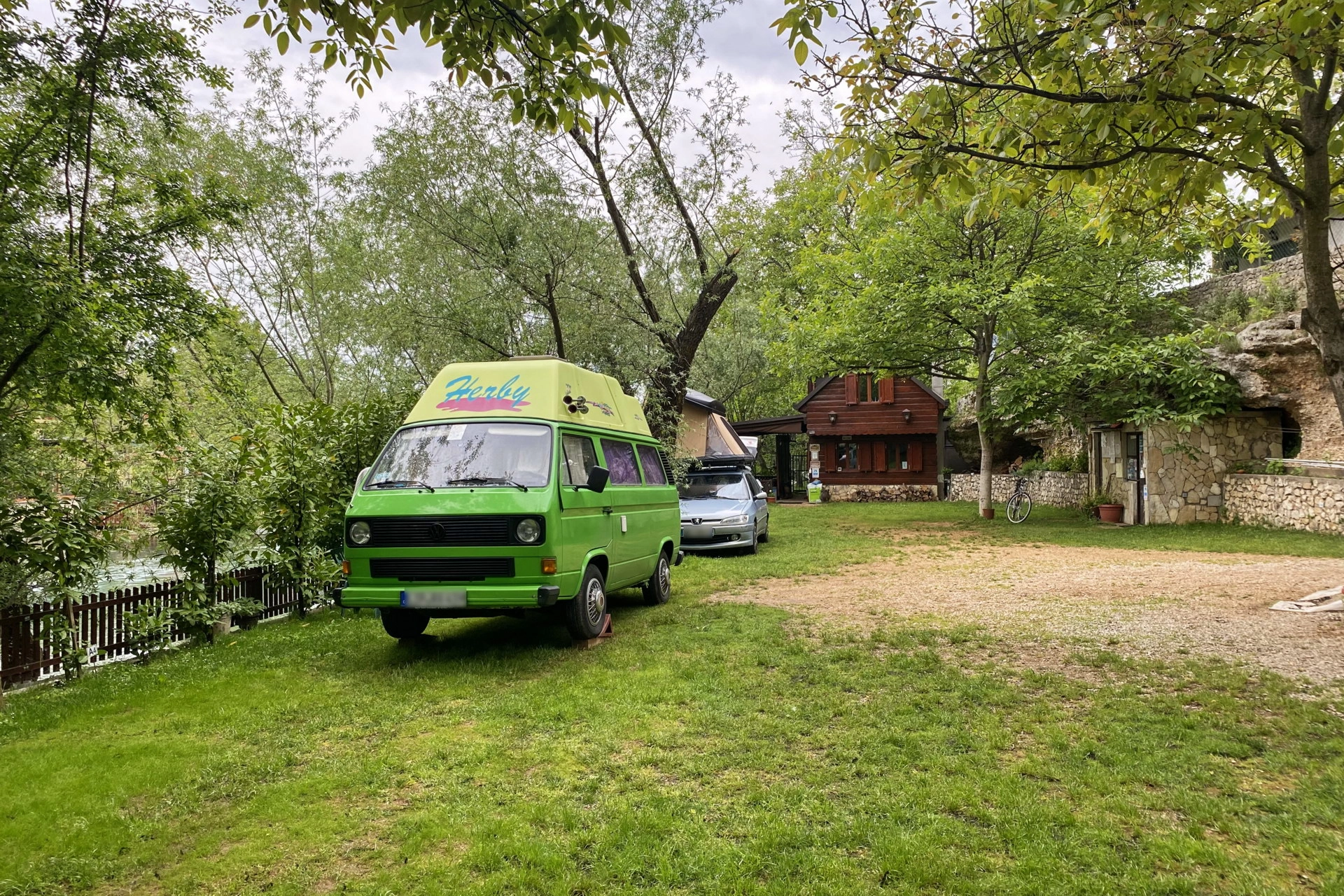 Green VW van under trees